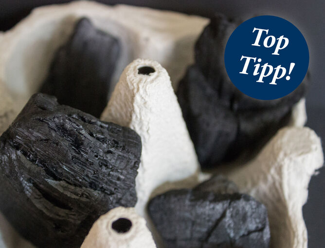 Aktionen und Neues: Toptipp: Eierschachteln machen richtig Feuer - GOLDSTEIG Käsespezialitäten TOPTIPP: Eierschachtel mit Grillkohle die richtig Feuer macht
