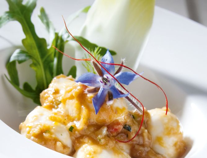Aktionen und Neues: Gemüse trifft Bambini Mozzarella Mini - GOLDSTEIG Käsespezialitäten Bambini von GOLDSTEIG mit Gemüsepesto