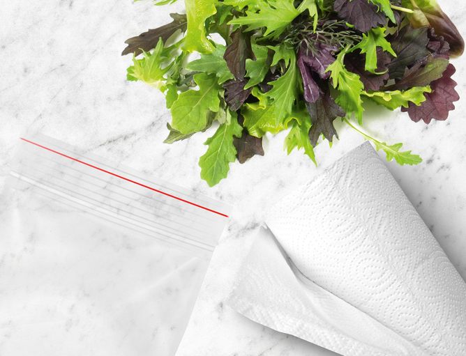 Aktionen und Neues: Salat Frische - GOLDSTEIG Salat, Plastiktüte und Papiertuch auf Mamorplatte für Salat mit GOLDSTEIG Produkten