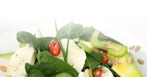 Ein Salat mit Proteinkäse Protinella