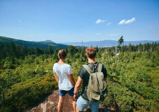 GOLDSTEIG Wandern - Bayerischer Wald