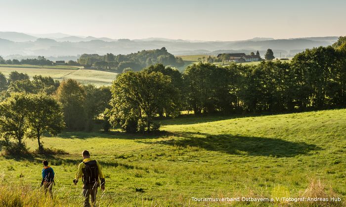 Zwei Wanderer in der GOLDSTEIG Landschaft 
