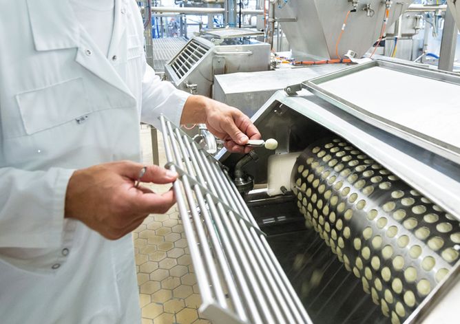 Praktikum: Milchtechnologe prüft Produktion eines Mozzarella Minis in der Mozzarella Formmaschine