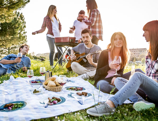 Picknick mit Freunden - Brotzeit und Wein in der Natur 