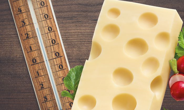 Emmentaler Stück von GOLDSTEIG und Thermometer damit richtige Temperatur gehalten werden kann mit Radieschen 