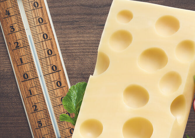 Käseleidenschaft: Käsereifung richtige Temperatur - GOLDSTEIG Käsespezialitäten Emmentaler Stück von GOLDSTEIG und Thermometer damit richtige Temperatur gehalten werden kann mit Radieschen