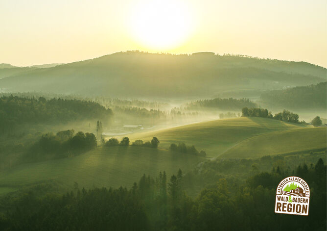 Startseite: Wunderschöne Wald- und Bauernregion im Bayerischen Wald bei Sonnenuntergang mit Nebel. Unten rechts ist das Herkunftssiegel "Natürlich aus der GOLDSTEIG Wald & Bauernregion" zu sehen.