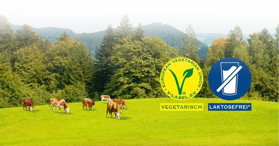 Kühe von GOLDSTEIG auf grüner Wiese mi Wald im Hintergrund. Vegetarisch und Laktosefrei Kennzeichnung