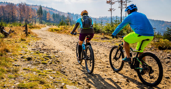 GOLDSTEIG als Arbeitgeber: zwei Radfahrer bzw. Mountainbiker unterwegs im Bayerischen Wald