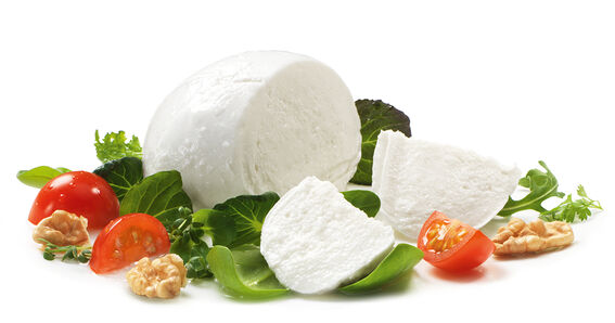 Protinella (Proteinkäse) / Käsesorten: Protinella von GOLDSTEIG mit viel Protein und reduziertem Fettgehalt, ohne Verpackung und angeschnitten mit frischen Salatblättern, Kräutern, Tomatenstücken und Walnüssen
