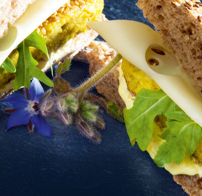 Käsegenuss - GOLDSTEIG Käsespezialitäten Hirse-Käse-Burger mit Almdammer von GOLDSTEIG