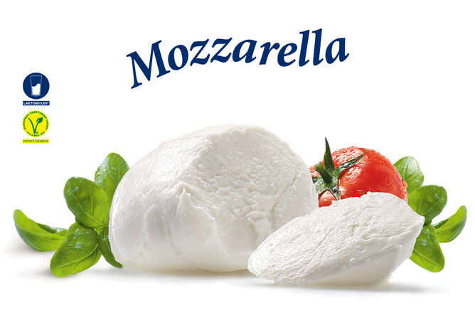 Mozzarella Classic Kugel von GOLDSTEIG mit Tomate und Basilikum. Laktose <1,5% und vegetarisch