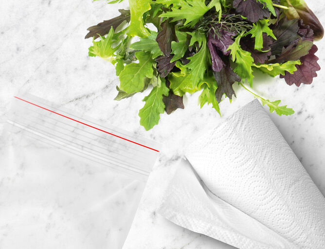 Salat, Plastiktüte und Papiertuch auf Mamorplatte für Salat mit GOLDSTEIG Produkten