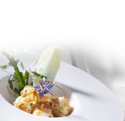 Mozzarella Rezept Salat von Bambini Mozzarella Mini von GOLDSTEIG mit Gemüsepesto auf Teller 