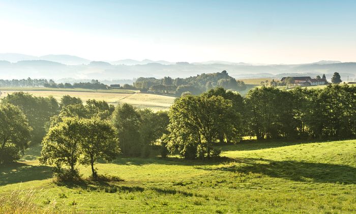 hügelige Landschaft mit Wald und Wiesen, im Hintergrund landwirtschaftliches Anwesen erkennbar