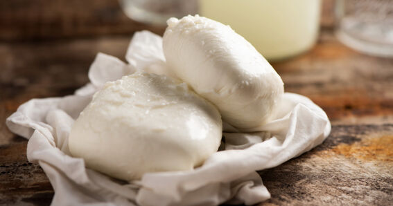 Mozzarella Herstellung Mozzarella Herstellung