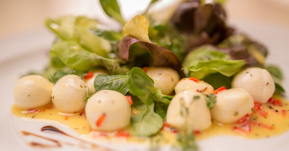 Rezept | Bambini Mozzarella Mini Salat mit Limonendressing und Oregano