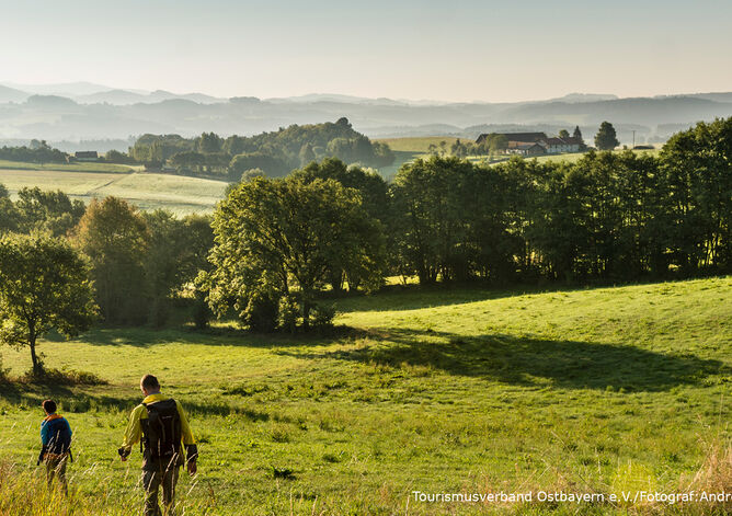 Wanderer auf dem Goldsteig, im Hintergrund Landschaft mit Wald und Wiesen